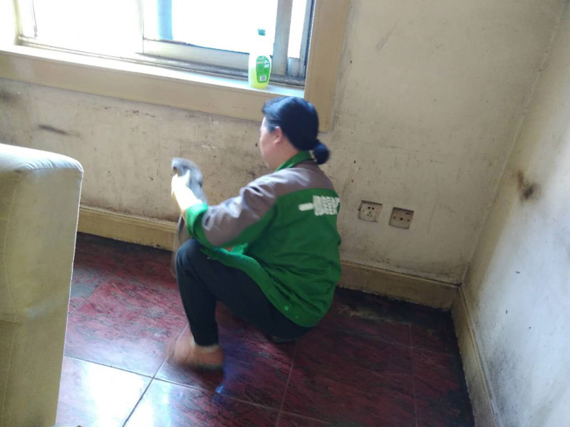 踢腳線簡(jiǎn)單清洗