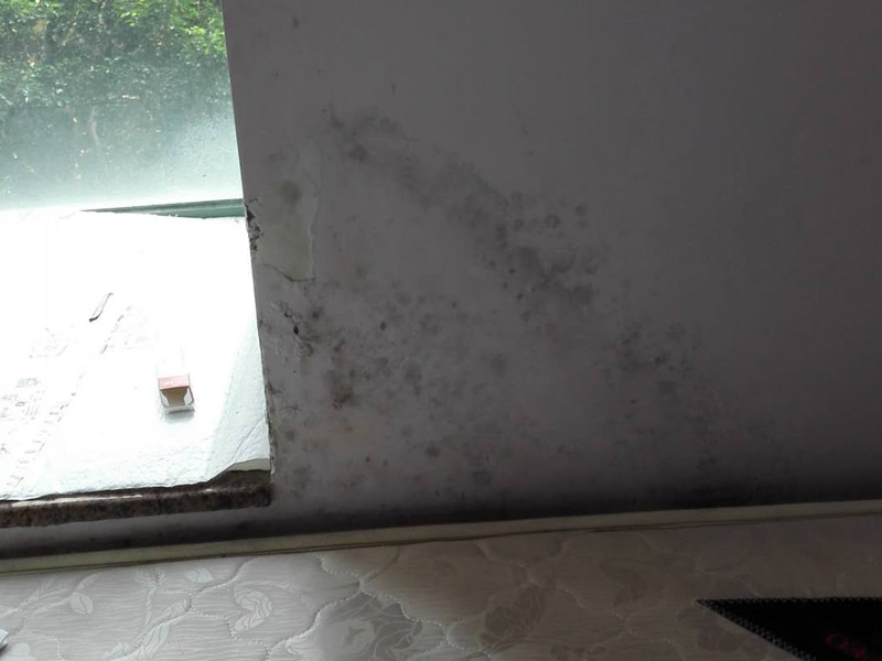 墻面起霉維修：墻壁起霉的處理：打磨、修補、刷防水涂料。
1、用砂紙打磨干凈，如果有脫層，用鏟刀處理平整；
2、如果墻面不平整，需要用膩子修補平整；如果墻面比較平整，建議先涂刷封閉底漆，然后再刷乳膠漆。
3、為了防止后期墻面再次發(fā)霉，建議再刷一層防水涂料、乳膠漆等。