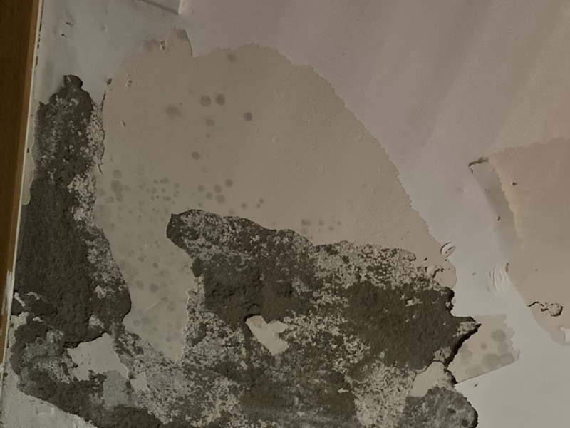 客廳吊頂裝修：客廳吊頂安裝前需要先畫好吊頂?shù)母鱾€尺寸，然后在房頂上固定好位置，再用沖擊鉆打孔，最后再把大龍骨用膨脹螺絲固定好。接下來將地上訂好的骨架托上天花板上，用方條當(dāng)固定柱，并且橫豎都要打水平線來固定骨架，按照圖紙的的尺寸將多余的骨架鋸掉。下一步就是需要固定石膏板了，建議用十字架撐著吊頂上的石膏板，用螺絲加以固定，多余的石膏板需要切除。這樣之吊頂就差不多做好了。