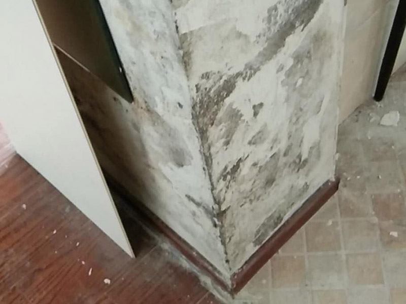 頂面墻面掛網裝修：新房毛坯房抹灰面未經過任何處理的情況下,如果表面平整度、磨砂面均勻,無空鼓、裂痕,完全可以不必掛網。但是,對于水泥砂漿或是混合砂漿(大多數(shù)是)達不到上述要求和質量,且表面的不均勻的細小紋理裂痕,采用掛網工藝,可以有效的避免后期的面層龜裂的產生,更好的保證墻面的質量。特別是抹灰墻面長久使用過程中,也會有一些生活過程中產生的震動和共振,掛網對墻面整體面層會起到一定的保障作用的。