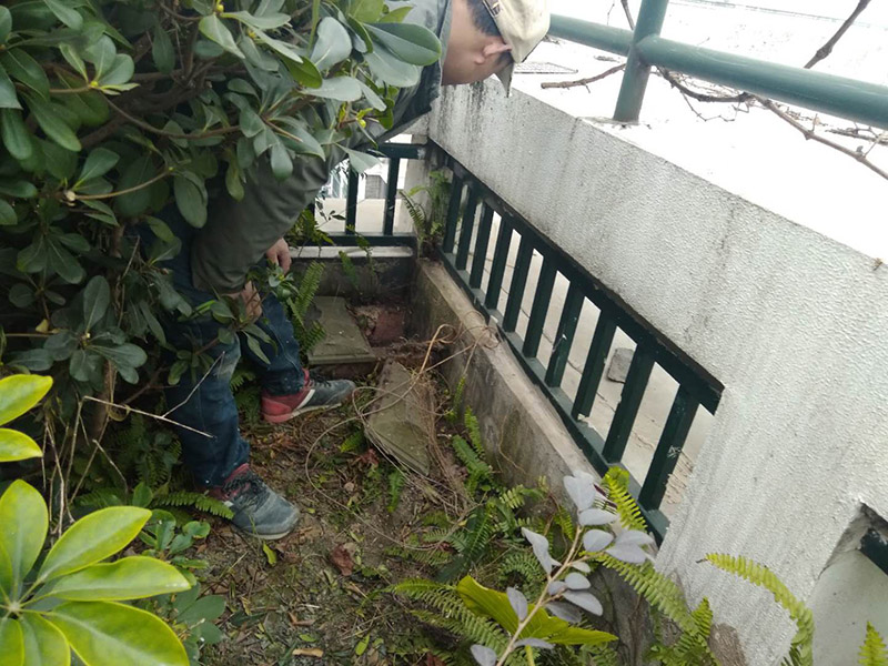 屋頂露臺(tái)看現(xiàn)場(chǎng)：如果防水師傅沒(méi)有檢驗(yàn)基層，直接就刷防水涂料的話(huà)，那么基層比較差，后期肯定會(huì)發(fā)生滲漏問(wèn)題的。當(dāng)然，有的朋友會(huì)說(shuō)，即便發(fā)生這種情況，后果也是該師傅來(lái)承擔(dān)的。但事實(shí)上，真的沒(méi)有人會(huì)希望發(fā)生問(wèn)題，畢竟在出現(xiàn)問(wèn)題之后，會(huì)給自己生活帶來(lái)很大的麻煩。