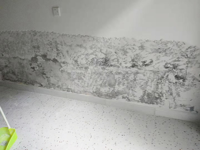 墻面局部鏟除防水：1、清理墻面：以鏟刀清除墻面已松動的膩子層。用鏟刀無法清除的膩子層，可以用小錘子輕輕敲擊，如果沒有空鼓的聲音，并且敲后仍不松動的地方可以保留原有的基層。 2、清洗墻面：用清潔水或洗滌靈將表面的浮塵、油污進行徹底清洗干凈，然后用高壓水槍進行徹底沖洗，清除已粉化的涂層。 3、修補墻面： （1）基層起皮的處理方法：鋼絲刷刷掉起皮的涂料面層，刷界面劑，重新進行涂料施工。 （2）基層裂縫的處理方法：開V型槽，掛抗堿玻纖網(wǎng)格布，水泥砂漿抹面，批刮柔性膩子，進行涂料施工。 （3）基層空鼓的處理方法：云石機切出空鼓的墻面，薄而多遍的水泥砂漿抹面，達到原有墻面的高度，刷界面劑，然后進行涂料施工。