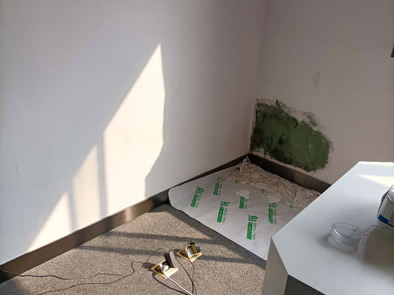 墻面局部修補施工:先將墻體破損凸出的地方鏟掉；取出從網(wǎng)上商城買的補墻膏補墻漆套裝；打開補墻膏，先攪拌均勻后，用小鏟抹少量補墻膏，填進坑洼起皮的部位，干燥24小時；隔天干后對墻體用砂紙打磨平整，用抹布把表面粉層擦拭掉；用補墻漆兌10%左右的水稀釋，攪拌均勻后用刷子涂在墻體上，進行2~3涂刷。