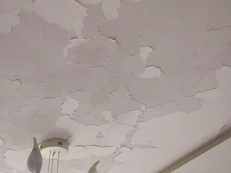 客廳天花板翻新：原有墻頂面有開發(fā)商粗略批蕩，局部肉眼就能看出凹凸不平的差距，有的施工隊(duì)為了趕工，施工方在做墻面找平時(shí)直接用膩?zhàn)佣鴽]用石膏粉，省了一道程序，結(jié)果造成膩?zhàn)訉犹?而膩?zhàn)又荒芷鸬阶屍矫孀兊闷秸饣淖饔?，而不能用來找誤差較大墻面的平整，所以膩?zhàn)诱移奖容^厚的地方就會(huì)陸續(xù)的脫落。 乳膠漆施工溫度低，未能形成連續(xù)的涂膜而龜裂，遇水即會(huì)脫落;基層疏松，有油污等污物，涂膜與基層粘附不好，造成剝落;基層批刮膩?zhàn)訌?qiáng)度低，膩?zhàn)訉游锤赏讣赐克⑷槟z漆;基層過于平滑，以造成涂膜附著力不好。剝落：防范：施工前先觀察一