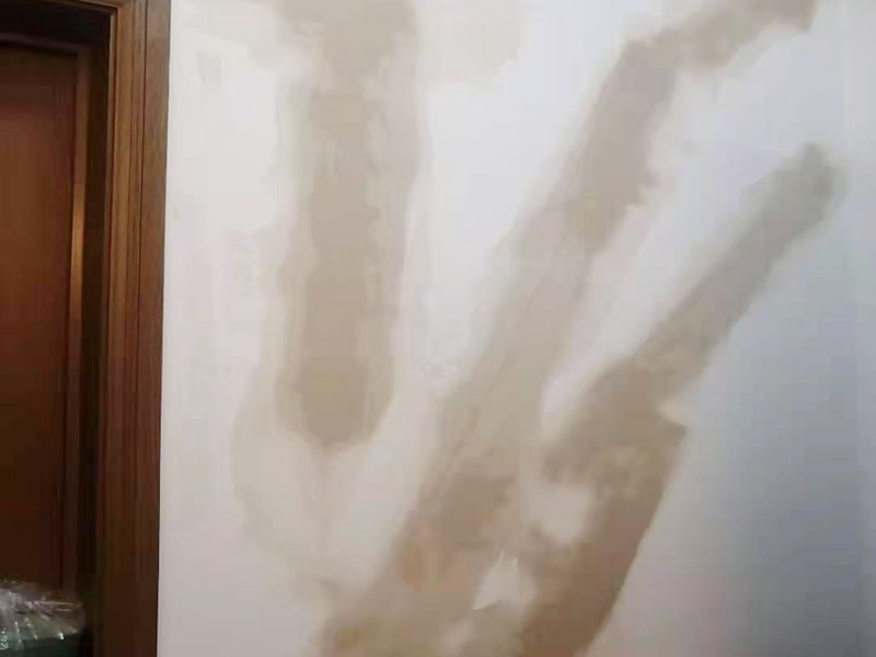 墻面頂面翻新保護：乳膠漆：目前應(yīng)用最廣，也是可以大面積使用在家里的方式，施工方便，色彩多但一般無法實現(xiàn)花紋、圖案。水性乳膠漆比較環(huán)保，但不可避免會有一些可揮發(fā)性物質(zhì)。而且目前還沒有任何一款乳膠漆能真正做到耐擦洗。 瓷磚：比較常見于廚衛(wèi)和一些公共大廳的墻面裝修，不怕水、耐用，易清潔。 木板、玻璃、石材等特殊裝飾物：一般用于一些特殊的墻面，主要為打造一些視覺效果，很少大面積使用。